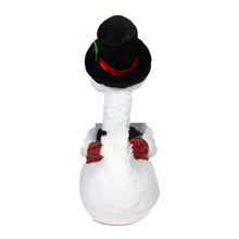 Load image into Gallery viewer, Carolin' Father Goose