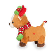 Load image into Gallery viewer, Rock & Roll Rider