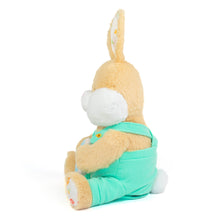 Load image into Gallery viewer, Lil' Sugarcrumbs