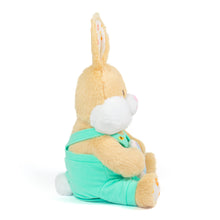 Load image into Gallery viewer, Lil' Sugarcrumbs