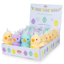 Load image into Gallery viewer, Lil Chick Squeezers