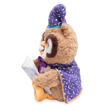 Load image into Gallery viewer, Octavius the Storytelling Owl