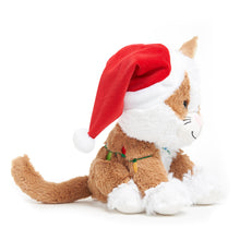 Load image into Gallery viewer, Tangled Tabby
