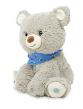 Load image into Gallery viewer, My Bear Coby