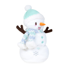 Load image into Gallery viewer, Snowfrost the Snowman
