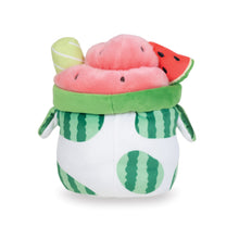 Load image into Gallery viewer, Lil Series - Watermelon Mooshake
