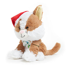 Load image into Gallery viewer, Tangled Tabby

